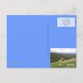 Briefkaart van wilde dieren van Colorado (Achterkant)