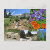 Briefkaart van wilde dieren van Colorado (Voorkant)