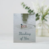 Briefkaart van wilde eenden (Staand voorkant)