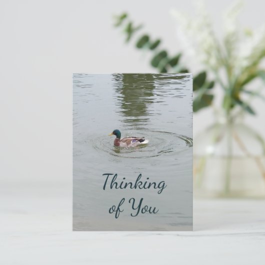 Briefkaart van wilde eenden (Staand voorkant)