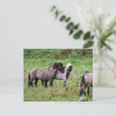 briefkaart van wilde paarden (Staand voorkant)