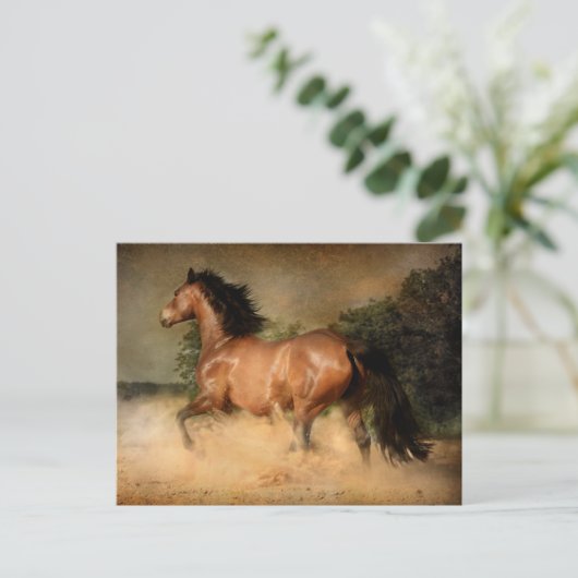 briefkaart van wilde paarden (Staand voorkant)