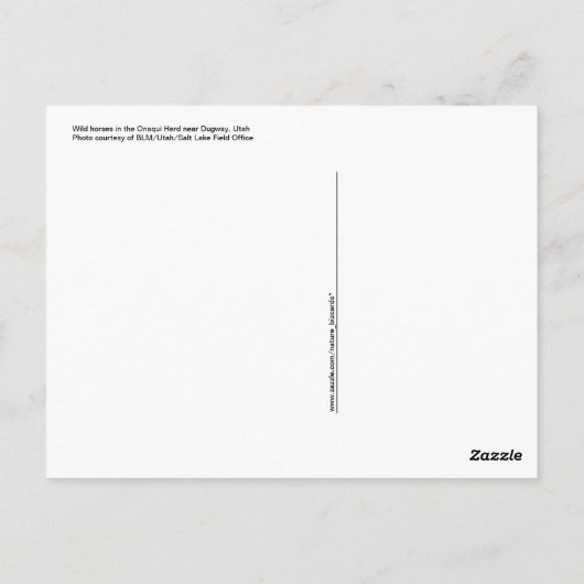 Briefkaart van wilde paarden (Achterkant)