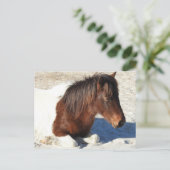 Briefkaart van wilde paarden, Briefkaart van het e (Staand voorkant)