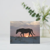 Briefkaart van wilde paarden, Briefkaart van het e (Staand voorkant)