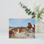 Briefkaart van wilde paarden, Briefkaart van het e (Staand voorkant)