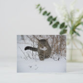 briefkaart van winterkatten (Staand voorkant)