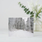 briefkaart van Winterland (Staand voorkant)