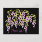 Briefkaart van Wisteria (Voorkant)