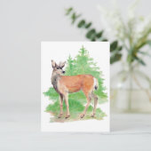 Briefkaart van witgekalkte herten (Staand voorkant)
