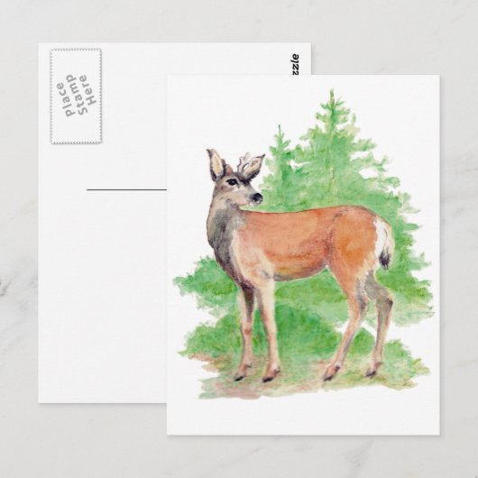 Briefkaart van witgekalkte herten (Voorkant / Achterkant)