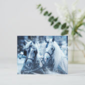 Briefkaart van witte paarden (Staand voorkant)