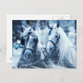 Briefkaart van witte paarden (Voorkant / Achterkant)