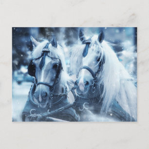 Briefkaart van witte paarden