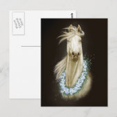 briefkaart van witte paardenportret (Voorkant / Achterkant)