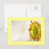 Briefkaart van witte Wereldbol Bloem (Voorkant / Achterkant)