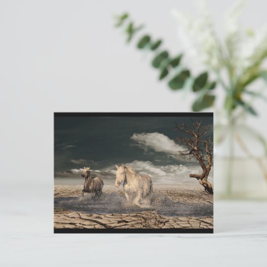 briefkaart van woestijnpaarden (Staand voorkant)