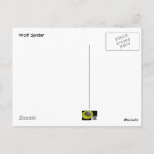 Briefkaart van Wolf Spider Male (Lycosidae) (Achterkant)