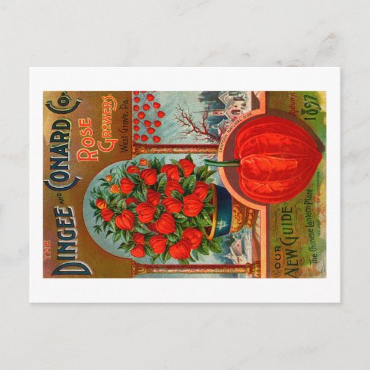 Briefkaart van  zaadpakket. (Voorkant)