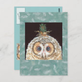 Briefkaart van zaan (owlet w jack pine) (Voorkant / Achterkant)