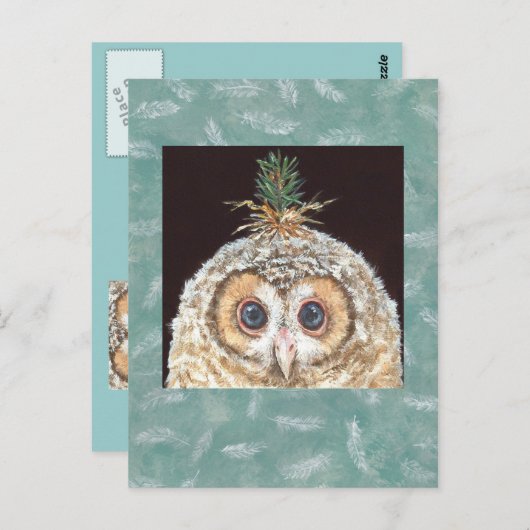 Briefkaart van zaan (owlet w jack pine) (Voorkant / Achterkant)