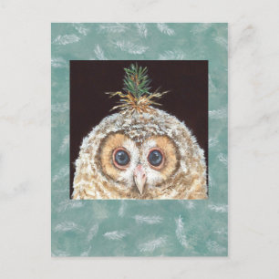 Briefkaart van zaan (owlet w jack pine)