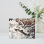 briefkaart van zalmrun (Staand voorkant)