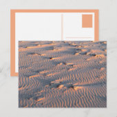 briefkaart van zandrimpels (Voorkant / Achterkant)