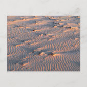 briefkaart van zandrimpels (Voorkant)