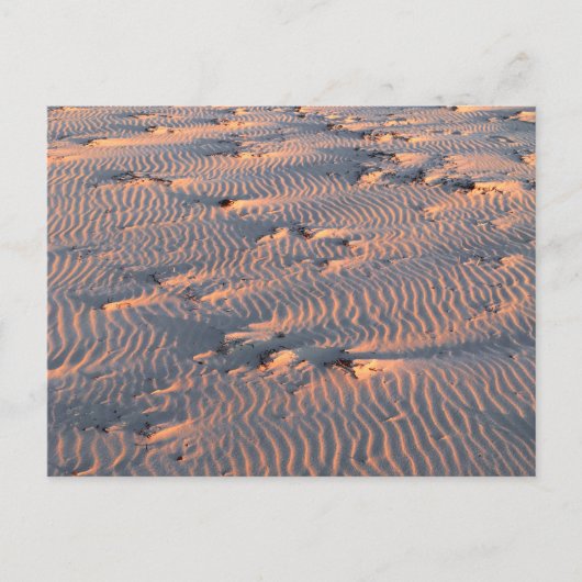 briefkaart van zandrimpels (Voorkant)