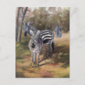 Briefkaart van Zebras (Voorkant)