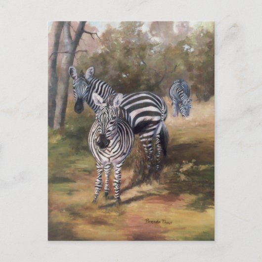 Briefkaart van Zebras (Voorkant)
