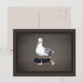 Briefkaart van zeegras (Voorkant / Achterkant)