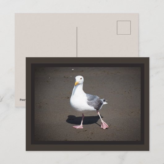 Briefkaart van zeegras (Voorkant / Achterkant)