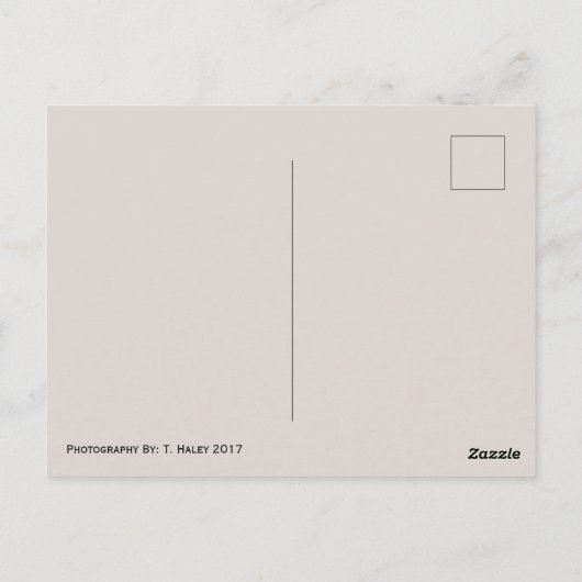 Briefkaart van zeegras (Achterkant)