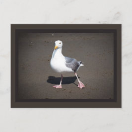 Briefkaart van zeegras