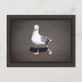 Briefkaart van zeegras (Voorkant)