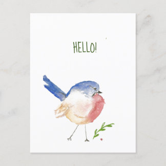 briefkaart van zeehondenvogel