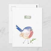 briefkaart van zeehondenvogel (Voorkant / Achterkant)