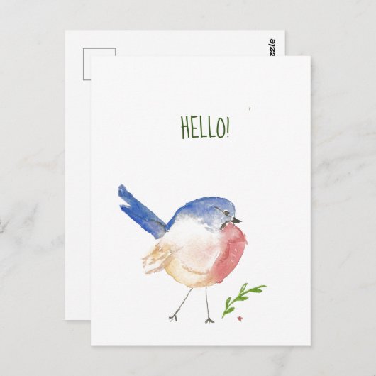 briefkaart van zeehondenvogel (Voorkant / Achterkant)