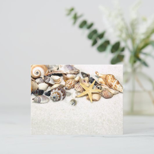 Briefkaart van zeeschelpen (Staand voorkant)