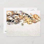 Briefkaart van zeeschelpen (Voorkant / Achterkant)