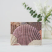 Briefkaart van zeeschelpen (Staand voorkant)