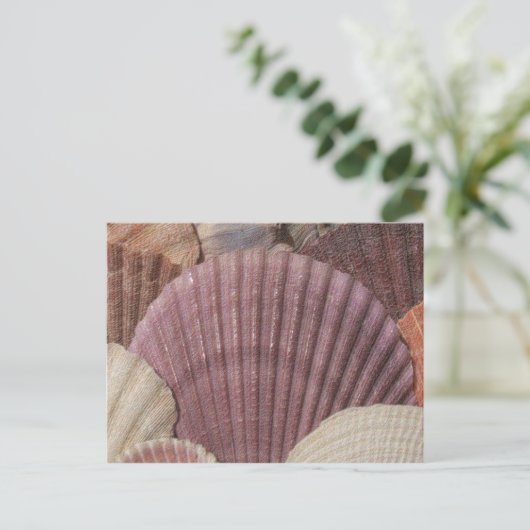 Briefkaart van zeeschelpen (Staand voorkant)