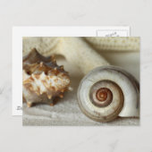 Briefkaart van zeeschelpen en zeesterren (Voorkant / Achterkant)