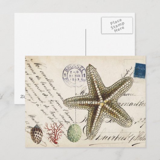 briefkaart van zeesterkreeften en zeeschildpadden (Voorkant / Achterkant)