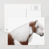 Briefkaart van zigeunerpaarden (Voorkant / Achterkant)