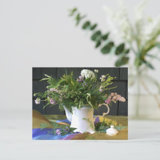  Briefkaart van zilvervetten (Staand voorkant)