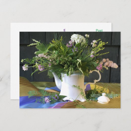 Briefkaart van zilvervetten (Voorkant / Achterkant)