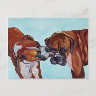 Briefkaart van zoende Boxer Dogs